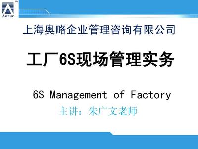 工廠6S現場管理實務——個人精益管理與企業管理咨詢的協同之道