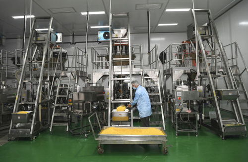 圖片新聞丨重慶永川乳制品產(chǎn)業(yè)發(fā)展見成效