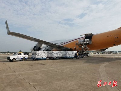 跨境生鮮提速 境外三文魚(yú)首次乘全貨機(jī)飛抵武漢，助力餐桌更鮮